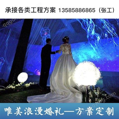 上海争飞全息 投影婚礼 多媒体宴会厅 投影策划方案 厂家价格
