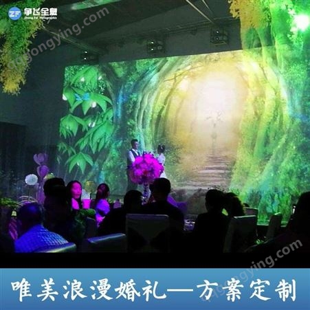 上海争飞全息 投影婚礼 多媒体宴会厅 投影策划方案 厂家价格