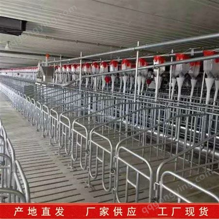 出售供应养殖场自动料线 母猪自动料线 自动化喂料料线