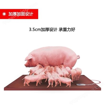仔猪电热板 猪用保温板 产床猪电热板 发热板