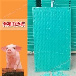 猪用加热板 碳纤维电加热线 仔猪保温电热板