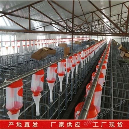 出售供应养殖场自动料线 母猪自动料线 自动化喂料料线