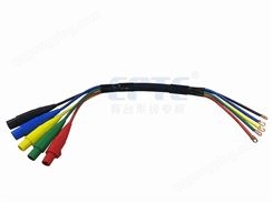 舞台灯光主缆 /大缆/电力系统连接线
