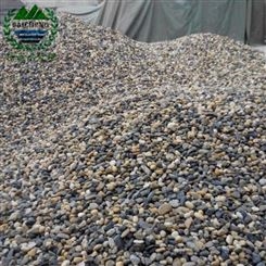 佰诚供应园林路面铺设用鹅卵石 杂色天然鹅卵石大量现货