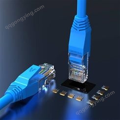 胜为电脑宽带超五类网线 蓝色无氧铜百兆cat5e非屏蔽网络跳线10米 LC-2100C