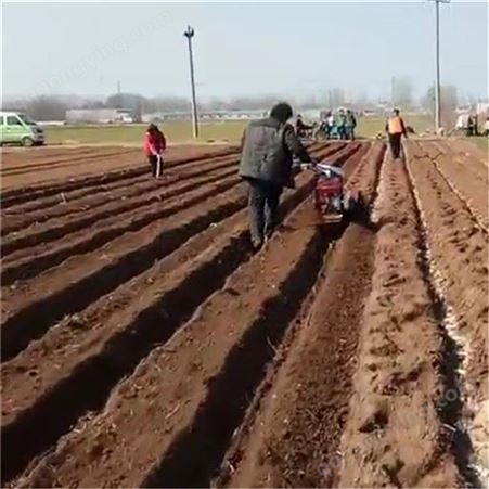 柴油大马力打沟机 沙土大葱红薯培土机 玉竹开沟盖土机