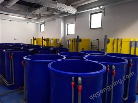 水产养殖水箱 圆形育苗设备 塑料鱼池