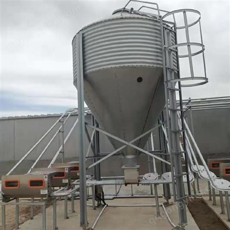 料塔 散装饲料罐 15吨20吨 加工定制 养猪自动化设备 饲料罐