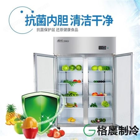 商用冰柜|立式双门冷柜|大容量冷柜