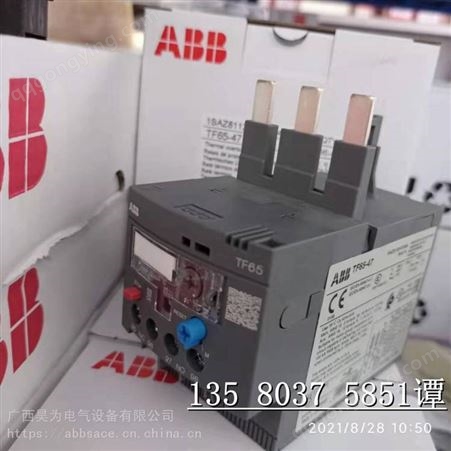 ABB TA 热过载继电器 TA75DU-63M 1SAZ321201R2005 10139498