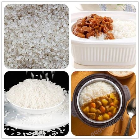 速食米饭生产设备自热米饭生产设备 杂粮米生产设备