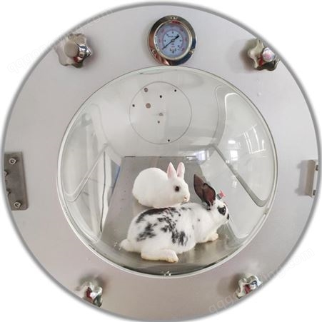 基创仪器家用高压氧舱 微高压氧舱 动物高压氧舱 适用于中小型动物