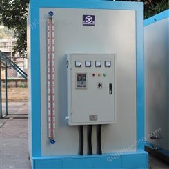 厦门供应电热水锅炉 电导热油锅炉 固体式蓄热式电热开水炉可定制