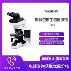 奥林巴斯显微镜BX43显微镜