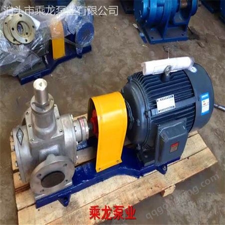 现货YCB-20不锈钢齿轮泵 耐磨齿轮泵 高压齿轮泵