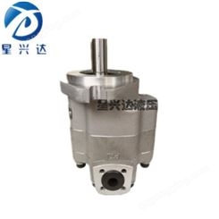 G512-1E13S-20R齿轮油泵   液压泵