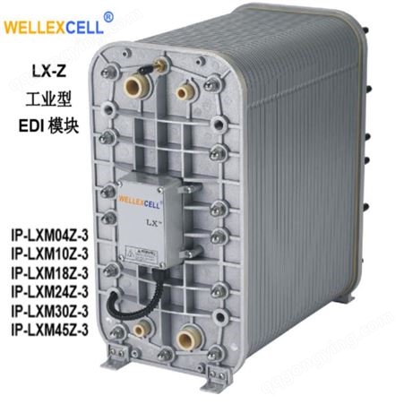 美国WELLEXCELL唯赛乐 纯水系统EDI模块LXM55Z5.5吨超纯水处理电除盐膜堆