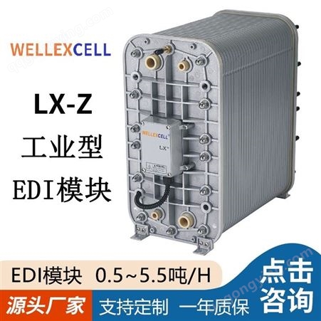 美国WELLEXCELL唯赛乐 工业超纯水系统EDI模块LXM45Z西门zi4.5吨EDI膜堆