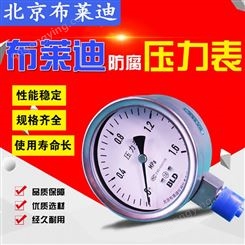 北京布莱迪压力表 不锈钢压力表YTH-100压力表