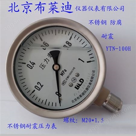 布莱迪不锈钢耐震压力表YTN100 耐震抗压