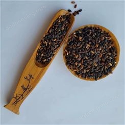 农家自产黑米 杂粮黑米供应商 五谷香黑米批发出售