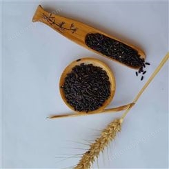 农家自产黑米 五谷香 八宝粥用黑米 工厂优惠