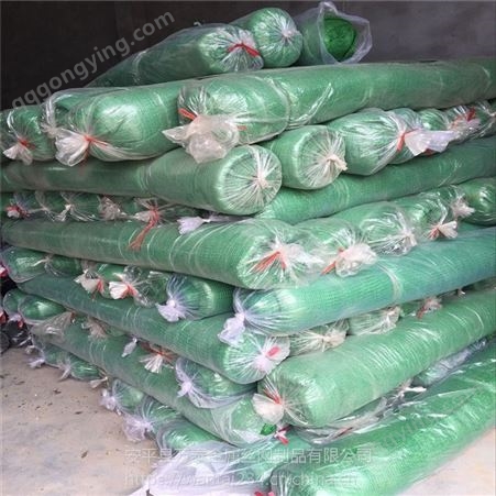 绿色塑料盖土网 保湿防虫网 遮阳网