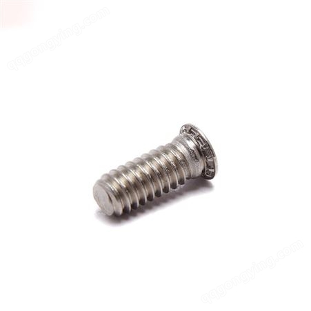 厂家定制不锈钢全螺纹压铆螺丝 圆柱平头紧固件螺栓压板螺钉螺栓