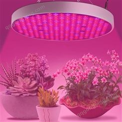 北极光能源 UFO补光灯圆形植物生长灯 电商热卖LED植物灯 50W圆形植物灯 LED全光谱植物灯