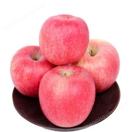 新品种红富士苹果 红富士苹果冷库价格