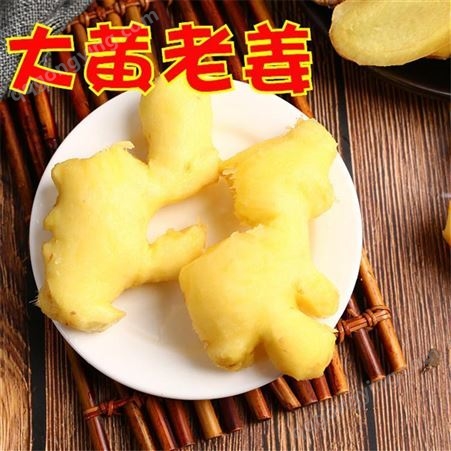 生姜种植基地 黄姜新鲜上市价格 生姜农产品 欢迎