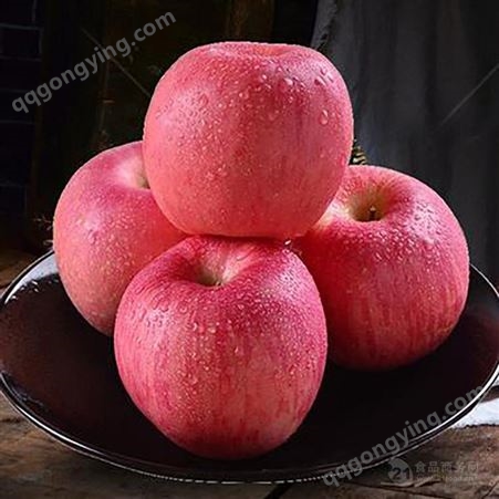 水晶红富士 山东富士苹果价格 红富士苹果供应价格