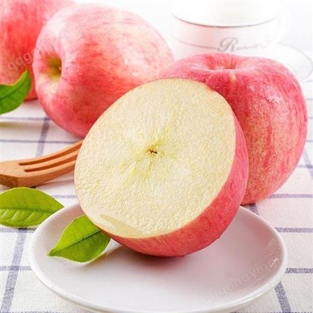 纸袋藤木苹果批发 早熟苹果大量上市了 代收苹果 批发价