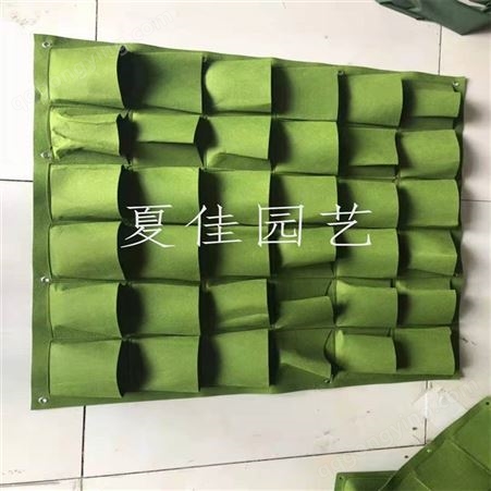 挂式种植袋 壁式种植袋 毛毡制品 型号齐全 现货发售 郑州夏佳园艺