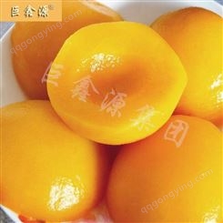 罐头食品 黄桃罐头水果即食罐头 山东巨鑫源罐头厂家批发