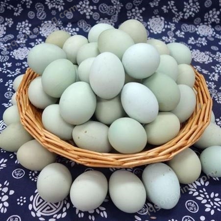 农家绿壳鸡蛋批发 绿壳土鸡蛋 兴农种禽 量大从优