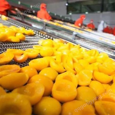 巨鑫源黄桃罐头 水果黄桃 山东厂家加工出售可批发 桃罐头
