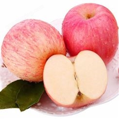 代理加工带包装苹果 源头红富士苹果代收价格 代收苹果 批发价