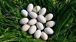 原野集团 鹅蛋生产定制  精品质量 放心吃 高营养原生态农家散养