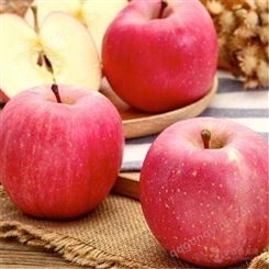 苹果格 红富士苹果优生区价格