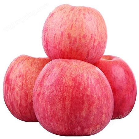 红富士苹果甜度高 苹果市场价格表 代收苹果 现货直供