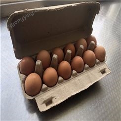 12枚鸡蛋保护托-卓尔纸塑-出售