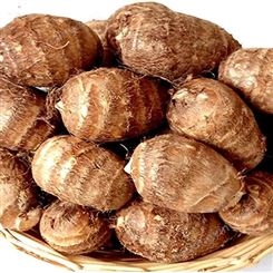 农家芋头 可用于超市售卖可晾晒风干 蔬菜供应厂家 华顺