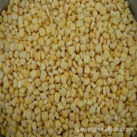 冷冻食品新鲜玉米粒 冷冻玉米粒厂家 工厂直供出口级玉米粒