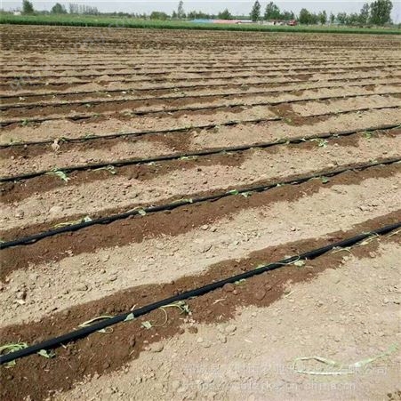 渭南玉米灌溉输水带 玉米灌溉滴灌带2000米价格