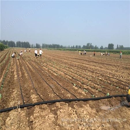 渭南玉米灌溉输水带 玉米灌溉滴灌带2000米价格