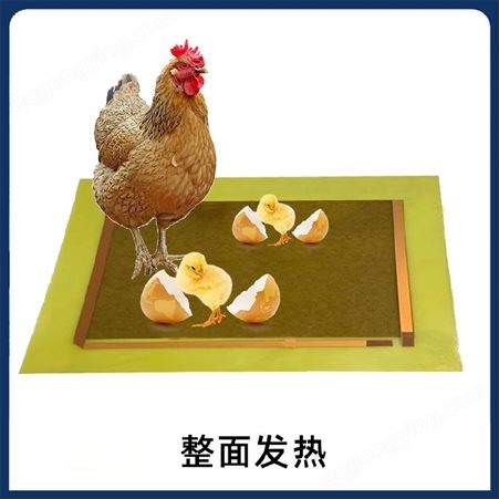 纳科 禽类养殖孵化电热板 远红外碳纤维石墨烯鸡鸭鹅蛋卵孵化发热片