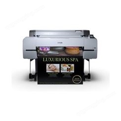 爱普生 EPSON P20080大幅面喷墨打印机 64英寸影楼后期照片打印机 装饰画打印