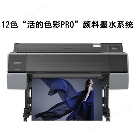 新款爱普生 P9580大幅面打印机 B0打印机 喷墨12色艺术微喷摄影输出 影楼后期照片