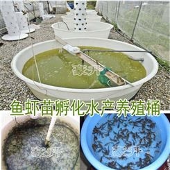 水产养殖桶 鱼苗孵化桶1000L升虾苗卵化设备大口敞口水箱大盆桶